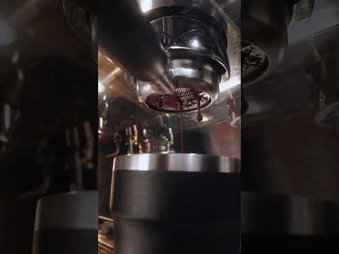 Copo Térmico Termolar Pub 500 mL Preto Hub